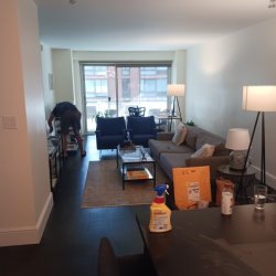 Painting and handyman services (Bellerose)  ** CALL or TXT +1(917) 651-8495 picture